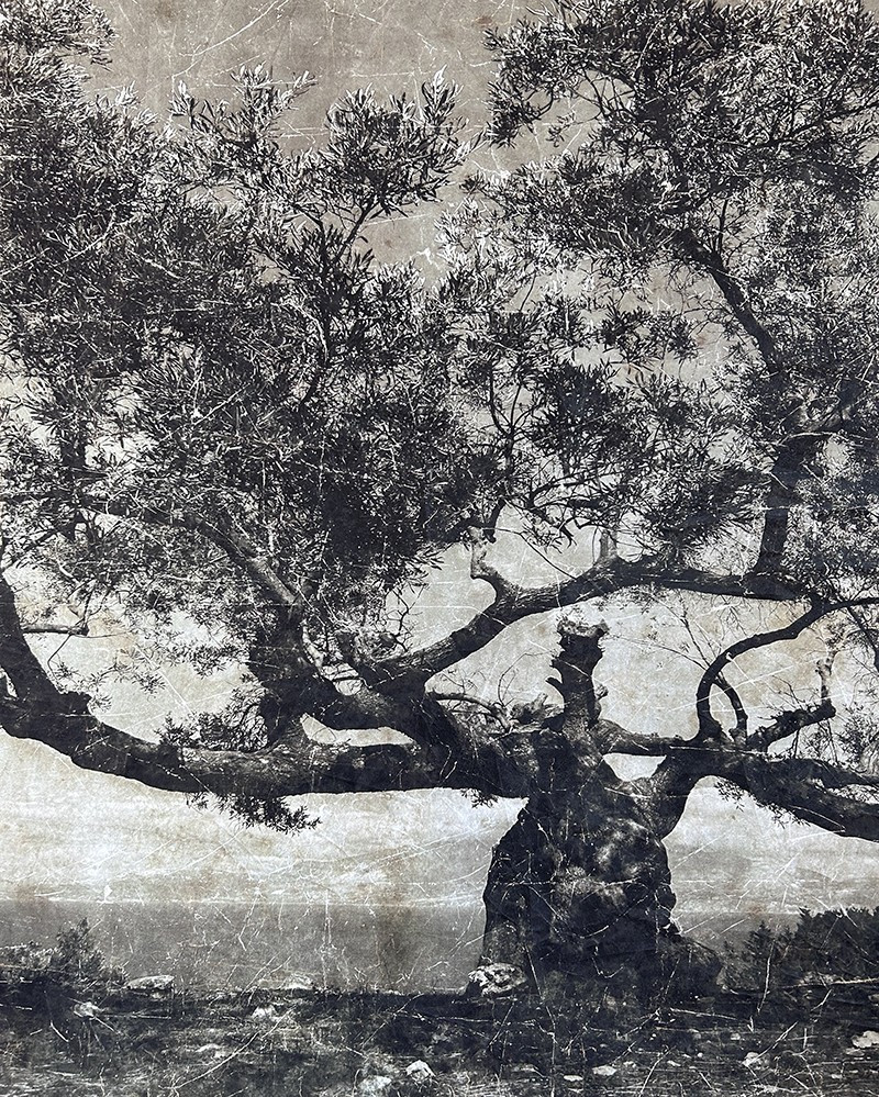 Creased paper Arbre Paros panel - Limited Edition