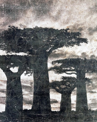 Panneau Baobab de Madagascar en papier froissé - Edition limitée