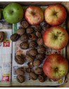 Apple photography by Joanna Maclennan - bamboo paper