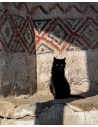 Photographie The Cat par Joanna Maclennan - papier fine art & papier bambou