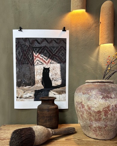 Photographie The Cat par Joanna Maclennan - papier fine art & bambou