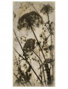 Creased paper panel Wild Carrots