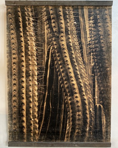 Panneau Cactus en papier froissé