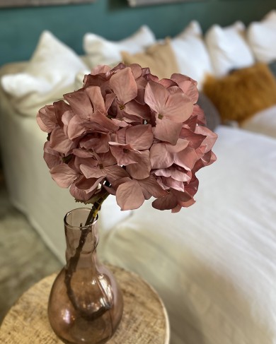 Hydrangea decorative branches