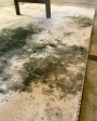 Holi Rug