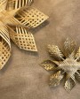 Bamboo Star