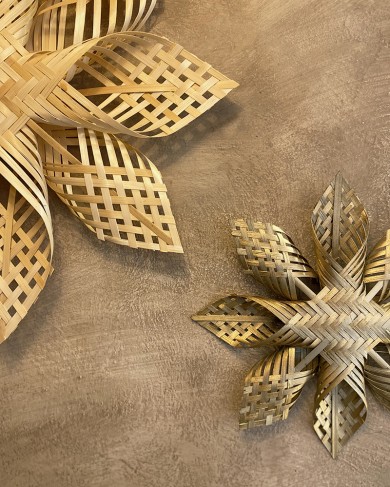 Bamboo Star