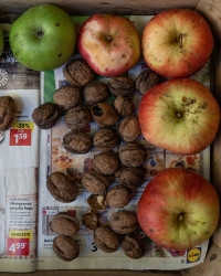 Photographie Apple par Joanna Maclennan - papier bambou