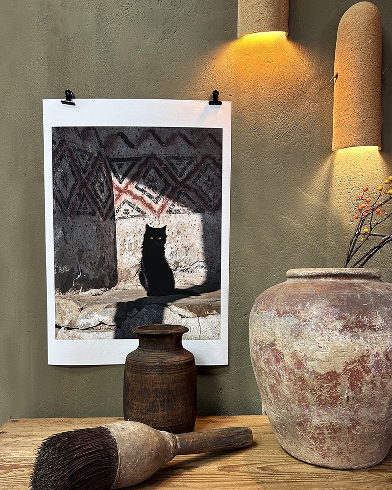 The Cat photography by Joanna Maclennan - fine art paper & bamboo paper