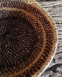 Seagrass basket