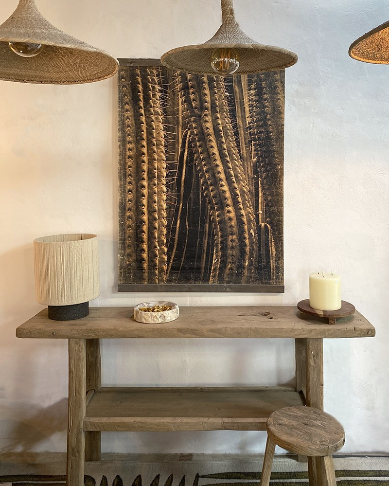Creased paper panel Cactus
