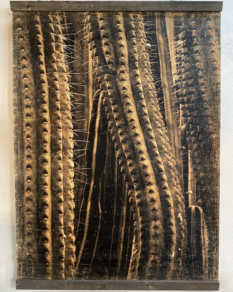 Panneau Cactus en papier froissé