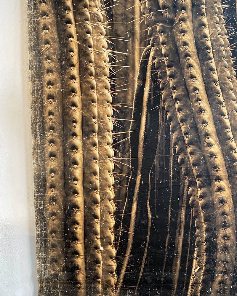 Panneau Cactus en papier froissé