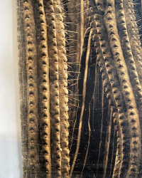 Panneau Cactus en papier froissé