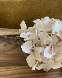 Branche décorative Hydrangea beige
