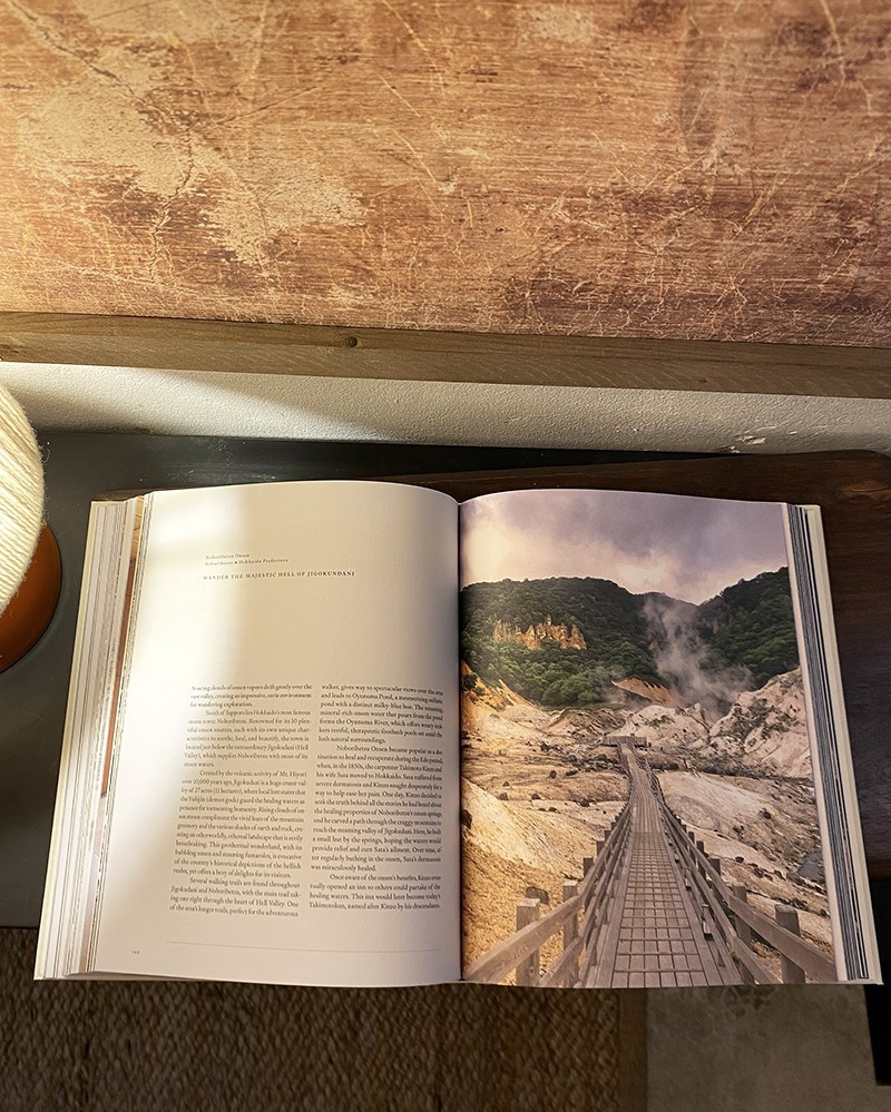 Livre Onsen & Ryokan of Japan par Lia