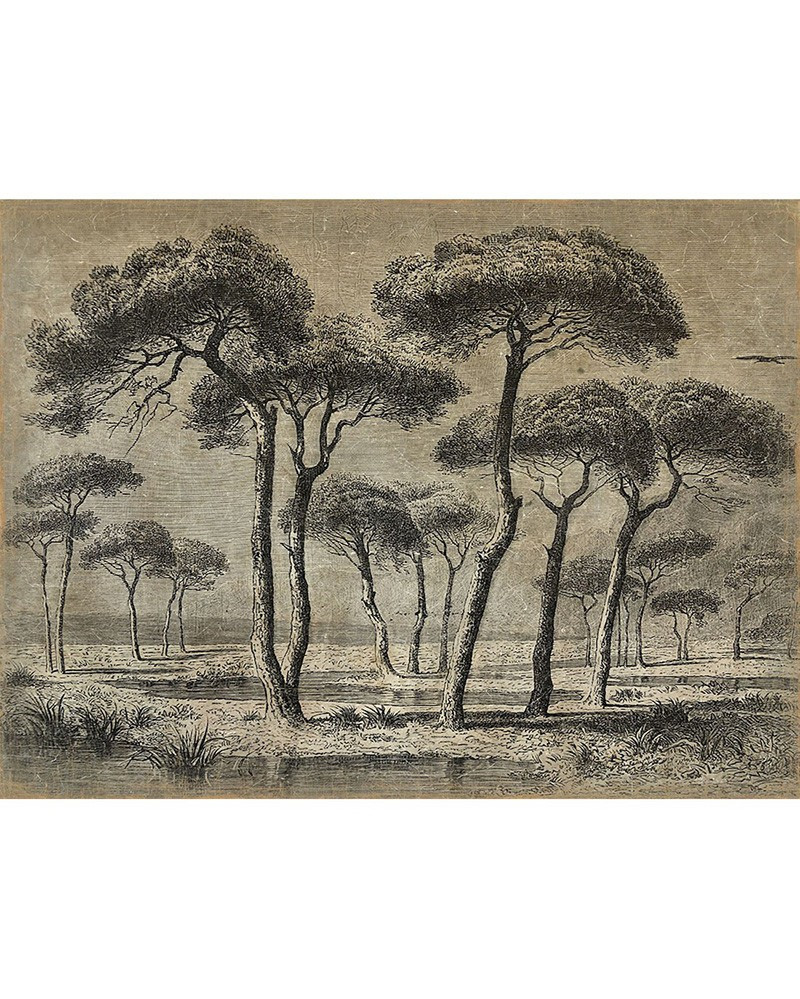 Panneau Pinède en papier froissé