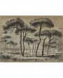 Creased paper Panel Pine Forest