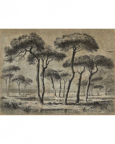 Creased paper Panel Pine Forest