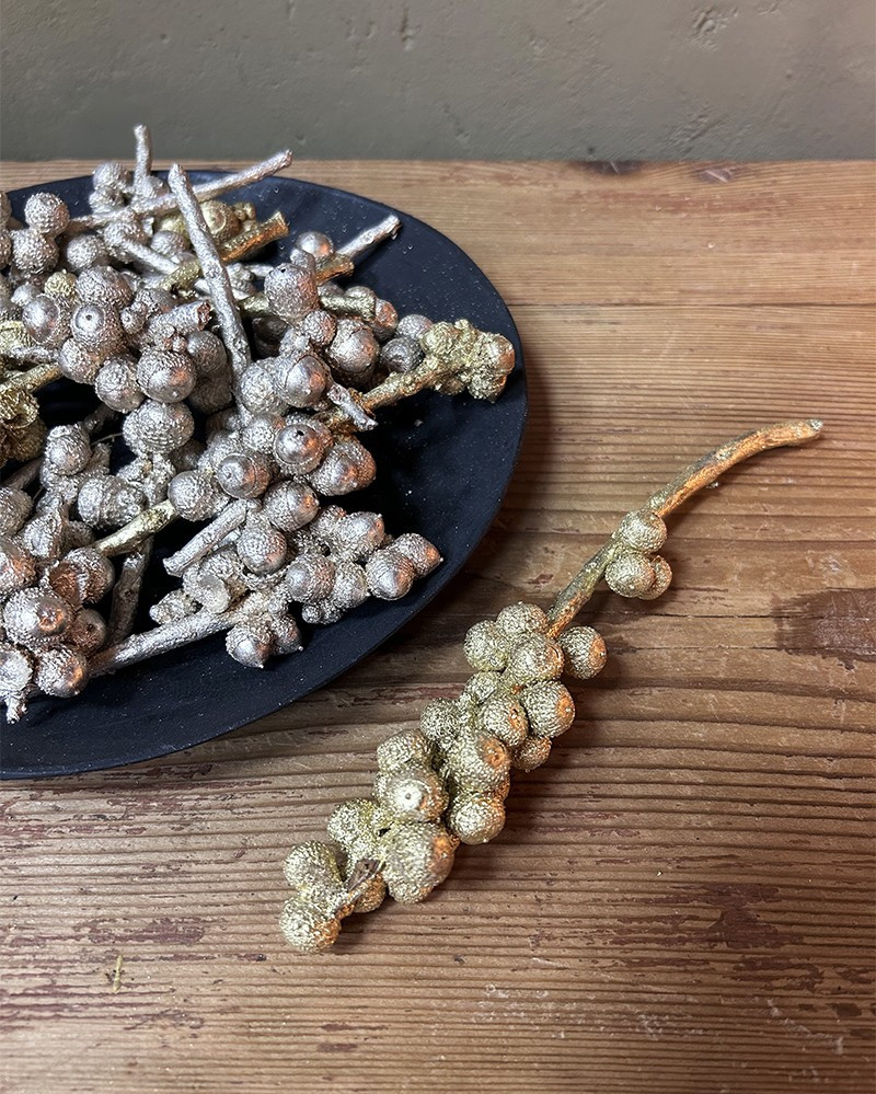 Branche de glands séchée