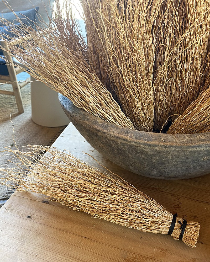 Vetiver en bouquet