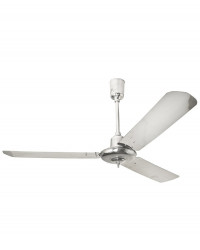 COLONIAL Fan