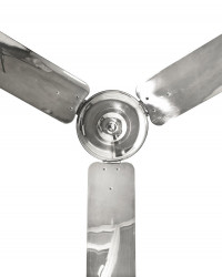 COLONIAL Fan