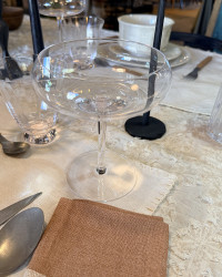Verre à cocktail & champagne Mimosa