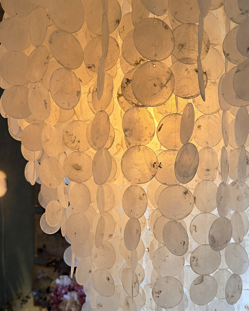 Nacre pendant light