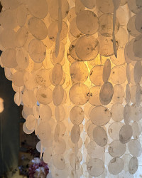 Nacre pendant light