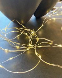 Indoor/Outdoor 120 LED luminous garland