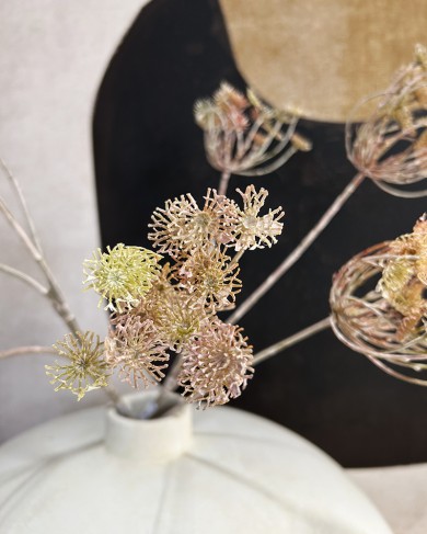 Anethum decorative branch