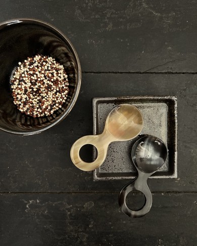 Horn tea/spices little Spoon