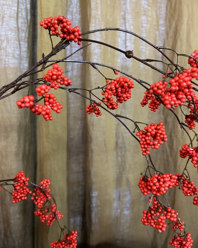 Blackberries & Berry Spray Rouge decorative branches