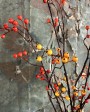 Branches décoratives Baies Spray Orange & Jaune