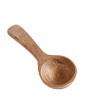Teak small Spoon for Spices
