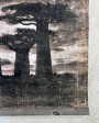 Panneau Baobab de Madagascar en papier froissé - Edition limitée