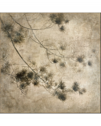 Creased paper Ramas Pinos panel - Limited Edition